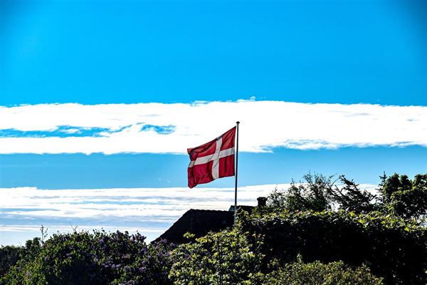 Et unikt indblik i Danmarks geografi med danmarkskort i træ