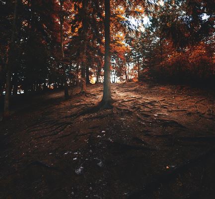 Sådan lærer du din nye by at kende