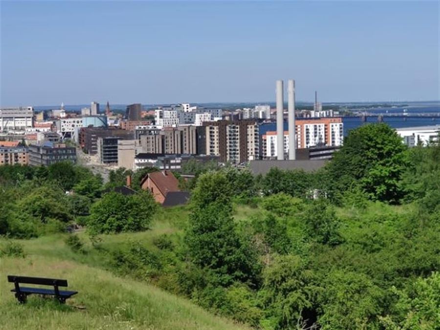 Skønne naturområder ved Ålborg