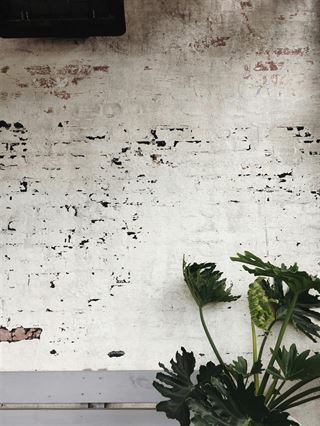 Find markedets bedste fugefræserværktøjet hos Murergrej.dk