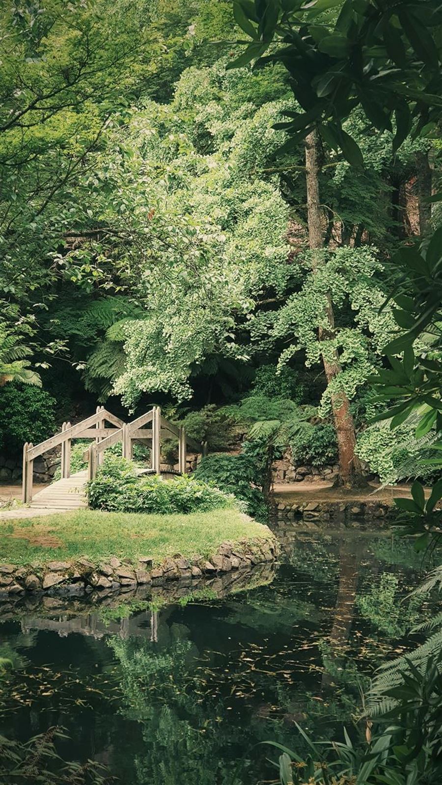 Haven kalder på dig